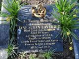image of grave number 846197